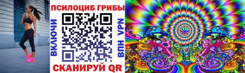 Псилоцибиновые грибы прущие грибы  наркошоп  Ишим 
